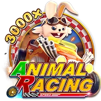 ANIMAL RACING - BOYBET168