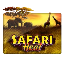 Safari Heat - BOYBET168