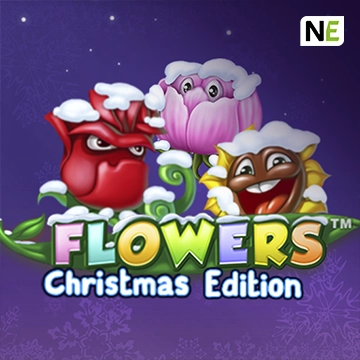 Flowers Christmas Edition - BOYBET168