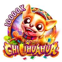CHILIHUAHUA - BOYBET168