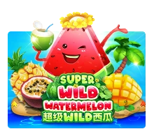 Super Wild Watermelon - BOYBET168