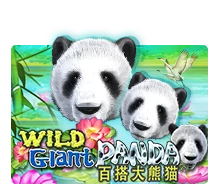 Wild Giant Panda - BOYBET168