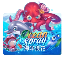 Ocean Spray - BOYBET168