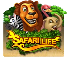 Safari Life - BOYBET168
