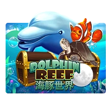 Dolphin Reef - BOYBET168