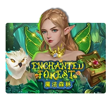 Enchanted Forest - BOYBET168