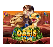 Oasis - BOYBET168