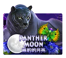 Panther Moon - BOYBET168